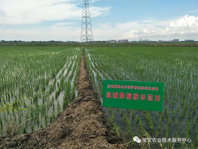 張文專家對(duì)話水稻 40--水稻植保要領(lǐng)-4